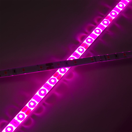 Taśma LED do uprawy roślin TL214FS FULL SPECTRUM krążek 5m