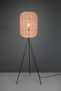 Lampa podłogowa Trio 403000132 czarny