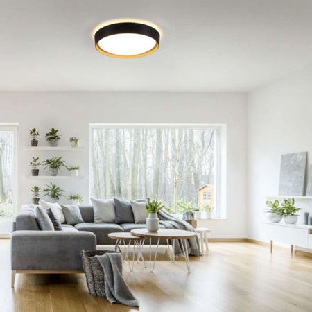 Plafon Paul Neuhaus EMILIA 14347-18 czarny