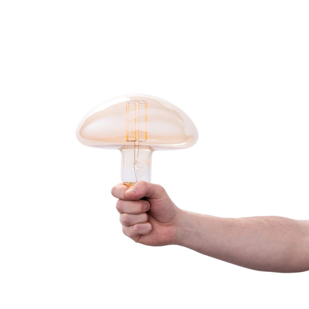 Żarówka Calex Calgary Gold LED XXL 6W E27 2200K 195 x 197 mm