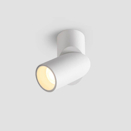 Reflektor nastropowy Abigali LED regulowany okrągły 15W biały