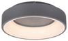 Lampa sufitowa Rabalux Adeline 3928 popielaty