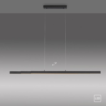 Lampa wisząca Paul Neuhaus LUZI 11660-13 grafitowy