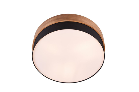 Lampa sufitowa Trio 611500302 srebrny