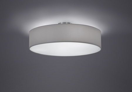 Lampa sufitowa Trio 603900301 biały/srebrny