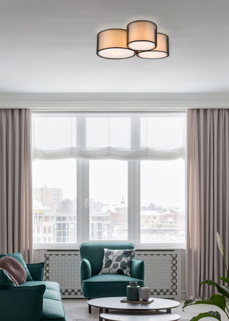 Lampa sufitowa Trio 611490332 czarny