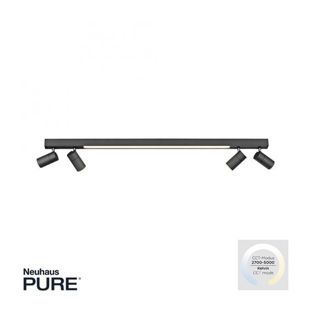 Lampa sufitowa Paul Neuhaus PURE-LINES 6121-13 grafitowy
