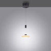 Lampa wisząca Paul Neuhaus LAUTADA 2080-18 czarny