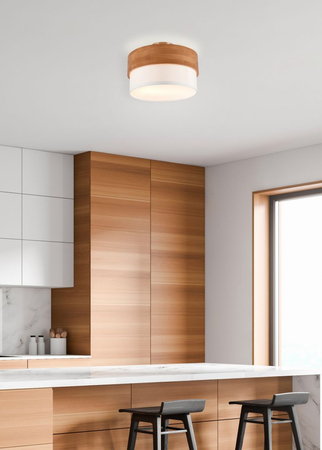 Lampa sufitowa Trio 611500201 srebrny