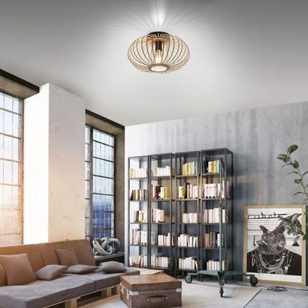 Lampa sufitowa Paul Neuhaus RACOON 11410-79 drewniany