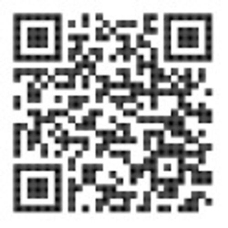 Kinkiet Rabalux Capriana 5049 brązowy metalik