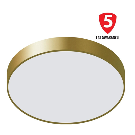 Plafon Italux 5361-830RC-GD-3 Orbital Złoty