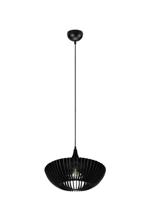 Lampa wisząca Trio 315900132 czarny
