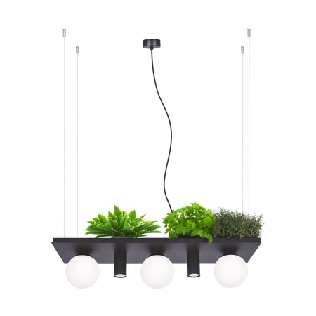 Lampa wisząca na rośliny Zuma Line Plant Shelf 5555
