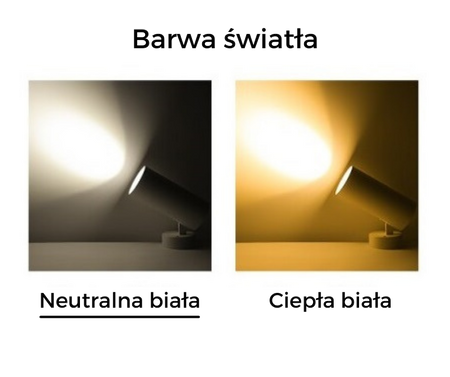 Reflektor BLAUPUNKT DRNW-12NW 12W