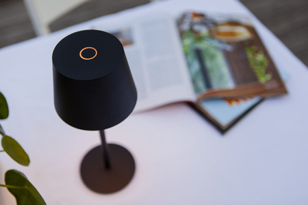 Lampa zewnętrzna Lutec ROBLE 8500601012 czarny