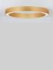 Lampa sufitowa Luces Exclusivas CLARO złoty LE42689