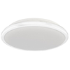 Plafon LED Milagro ML6401 Terma
