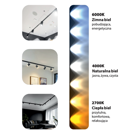 Blaupunkt Reflektor LED 1-fazowy Vision 30W czarny z przełącznikiem barwy światła