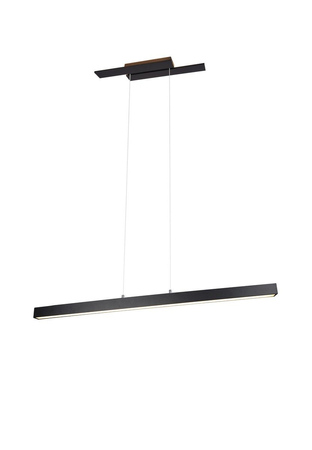 Lampa wisząca Trio 375510432 czarny