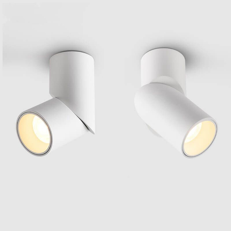 Reflektor nastropowy Abigali LED regulowany okrągły 15W biały