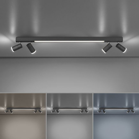 Lampa sufitowa Paul Neuhaus PURE-LINES 6121-13 grafitowy