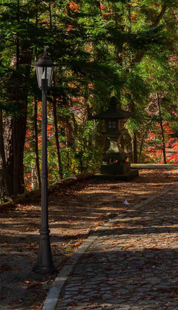 Lampa zewnętrzna STANDARD Kaja K-7064A/1 CZARNY