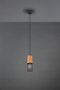 Lampa wisząca Trio 304300132 czarny