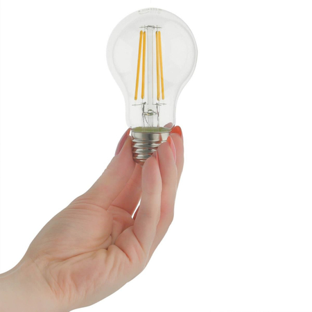 Blaupunkt Żarówka LED Filament LED E27 A60 8W Clear Glass 