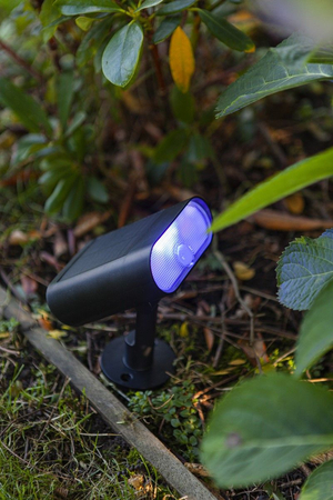 Kinkiet zewnętrzny Lutec GINBO 6938405330 czarny