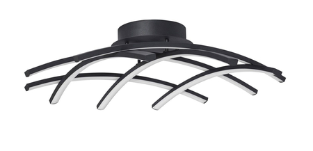 Lampa sufitowa Luces Exclusivas CATIA LE41600 czarny