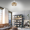 Lampa sufitowa Paul Neuhaus RACOON 11412-79 drewniany