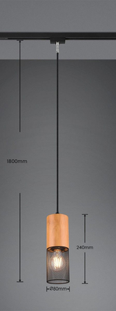 Lampa wisząca Trio 73430132 czarny