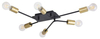 Lampa sufitowa Rabalux Lanny 2103 czarny