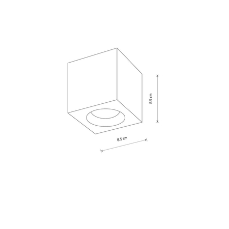 Spot Nowodvorski PARANA 10717 Chrom