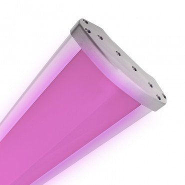 Oprawa Liniowa LED 160W CREE Grow PRO Greenie