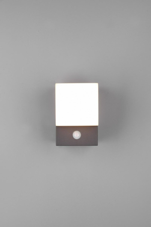 Kinkiet zewnętrzny Trio 270669142 grafitowy