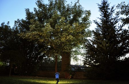 SANDE 1592 GRAPHITE LED Gu10 5,4W 3000K SPIKE