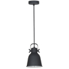 Lampa wisząca Italux MD-HN82608-1-BKWH Lavare