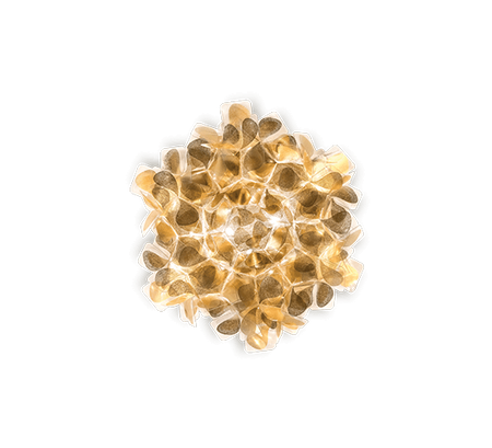 Lampa sufitowa Slamp CLIZIA - MAMA NON MAMA GOLD MINI CLICS00GNM00000000EU złoty