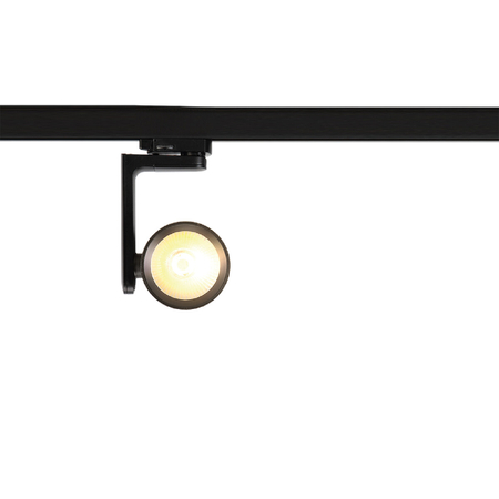 Milagro Reflektor Timor 30W 2700/4000K Czarny 3 Obwodowy ML1117 CZARNY