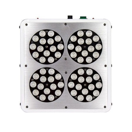 Lampa LED do roślin Czerwona/Niebieska 136W Grow