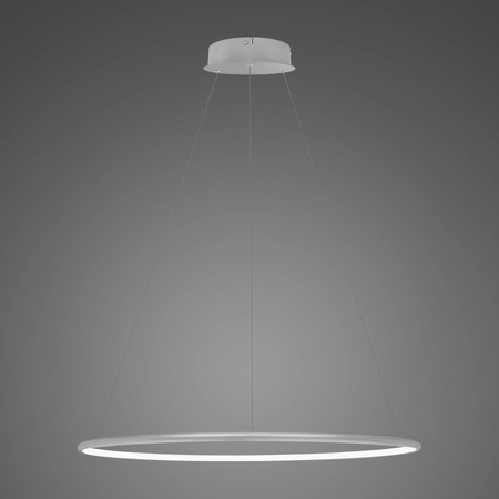 Lampa wisząca Ledowe Okręgi No.1 60cm 3k srebrna ściemnialna