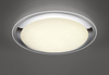 Lampa sufitowa Trio 675610106 srebrny