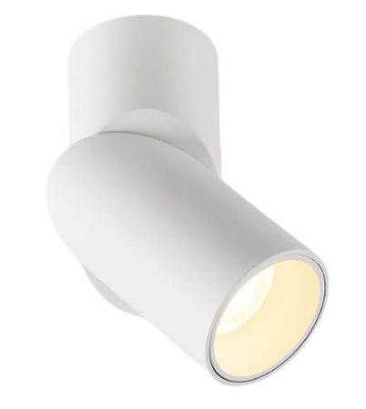 Reflektor nastropowy Abigali LED regulowany okrągły 15W biały