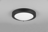Lampa sufitowa Trio 6801011-32 czarny
