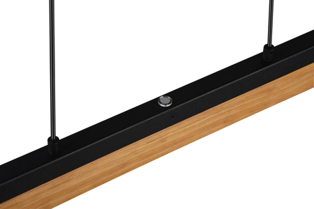 Lampa wisząca Trio 341610132 czarny