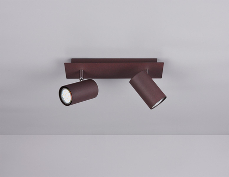 Reflektor Trio 802400224 miedziany