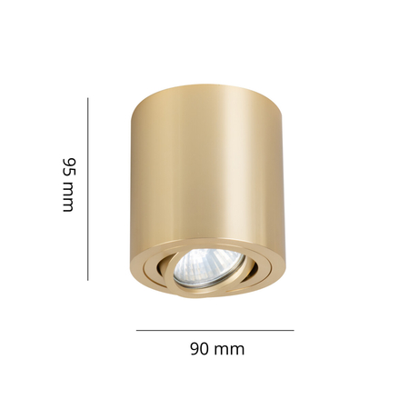 Light Prestige Oprawa natynkowa Tulon złota 1xGU10 LP-5441/1SM GD