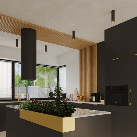 Sollux Lighting Plafon NERO 22,5 czarny/złoty SL.1411